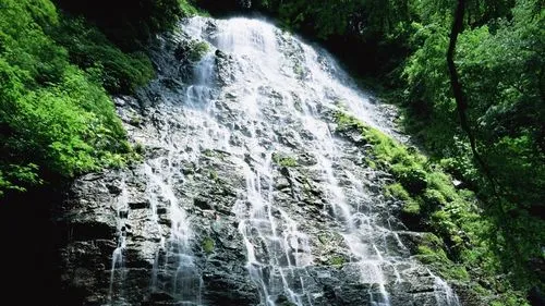 绿色智能系统